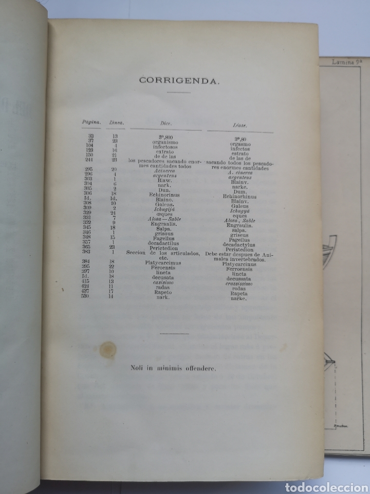 Libros antiguos: Exploraci&oacute;n Cient&iacute;fica de las Costas del Departamento Mar&iacute;timo del Ferrol 1870 - Foto 3