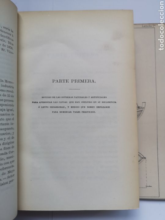 Libros antiguos: Exploraci&oacute;n Cient&iacute;fica de las Costas del Departamento Mar&iacute;timo del Ferrol 1870 - Foto 5