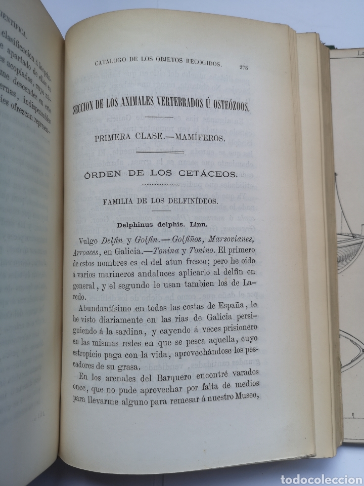 Libros antiguos: Exploraci&oacute;n Cient&iacute;fica de las Costas del Departamento Mar&iacute;timo del Ferrol 1870 - Foto 6