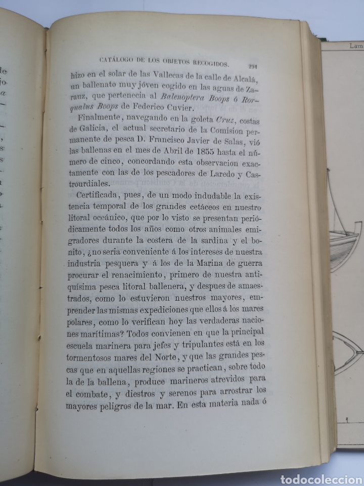 Libros antiguos: Exploraci&oacute;n Cient&iacute;fica de las Costas del Departamento Mar&iacute;timo del Ferrol 1870 - Foto 7