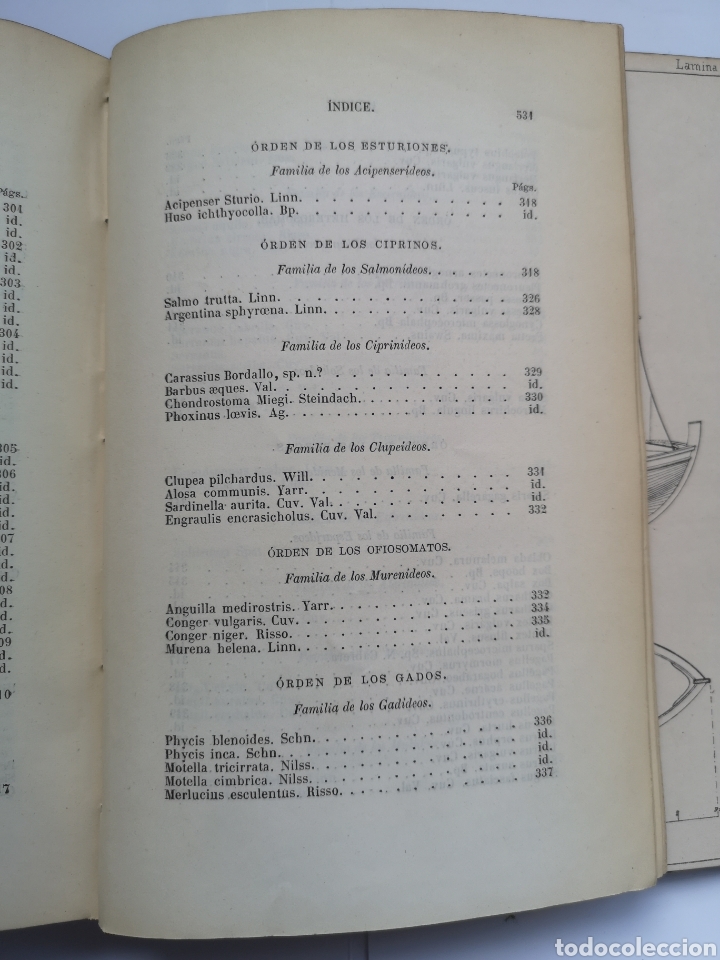Libros antiguos: Exploraci&oacute;n Cient&iacute;fica de las Costas del Departamento Mar&iacute;timo del Ferrol 1870 - Foto 9