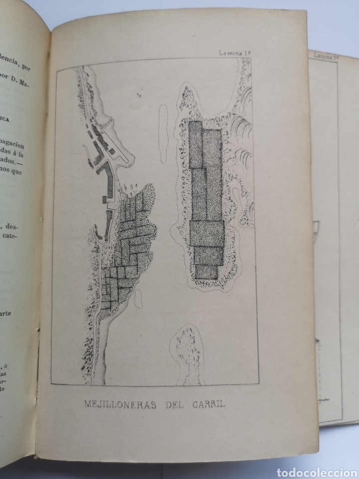 Libros antiguos: Exploraci&oacute;n Cient&iacute;fica de las Costas del Departamento Mar&iacute;timo del Ferrol 1870 - Foto 10