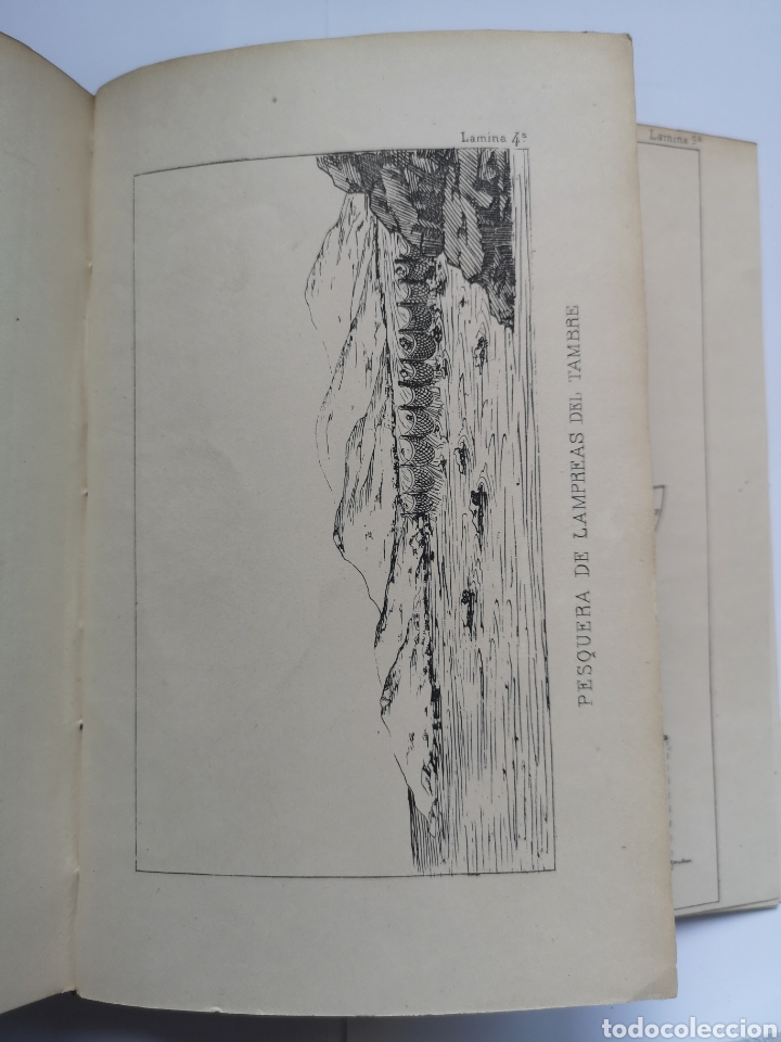 Libros antiguos: Exploraci&oacute;n Cient&iacute;fica de las Costas del Departamento Mar&iacute;timo del Ferrol 1870 - Foto 13