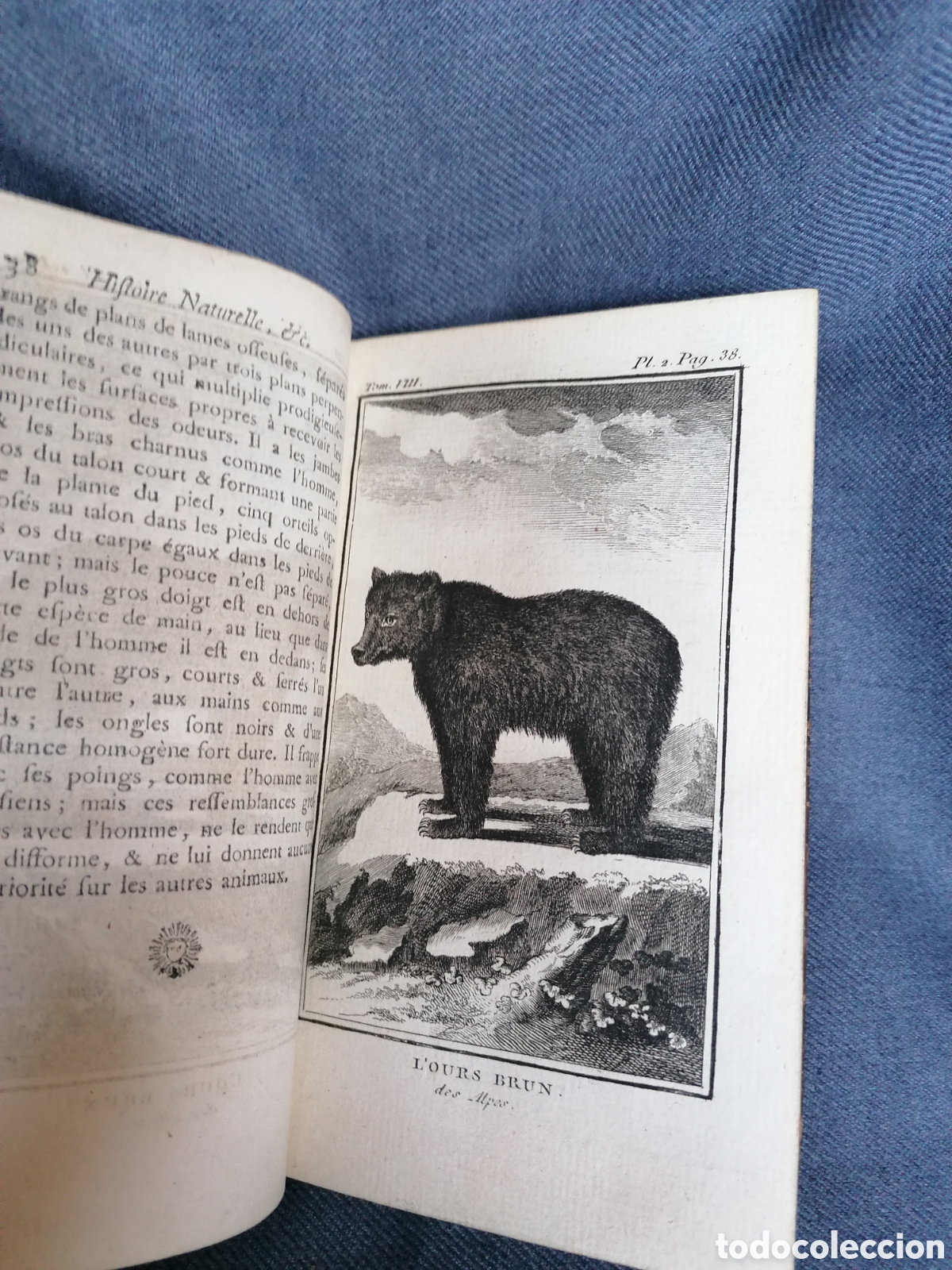 Libros antiguos: Histoire naturelle de Buffon 1769 - Foto 5
