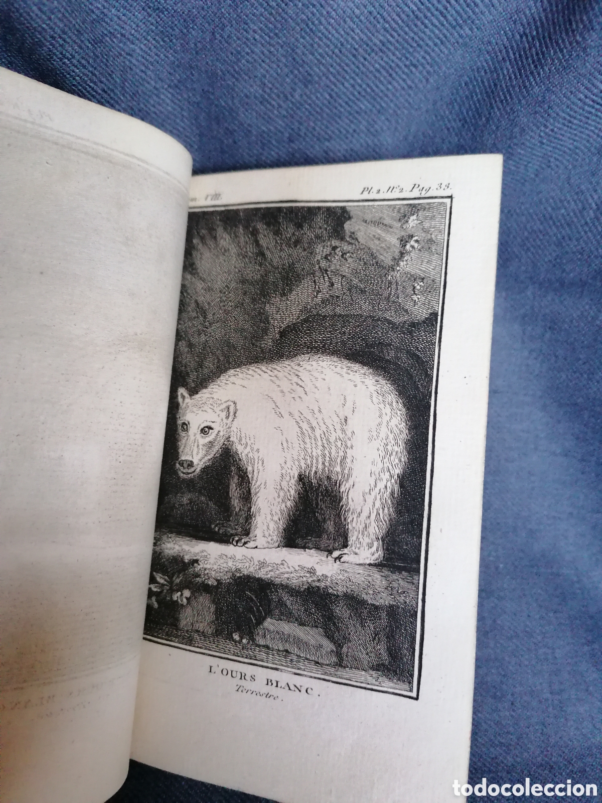 Libros antiguos: Histoire naturelle de Buffon 1769 - Foto 6