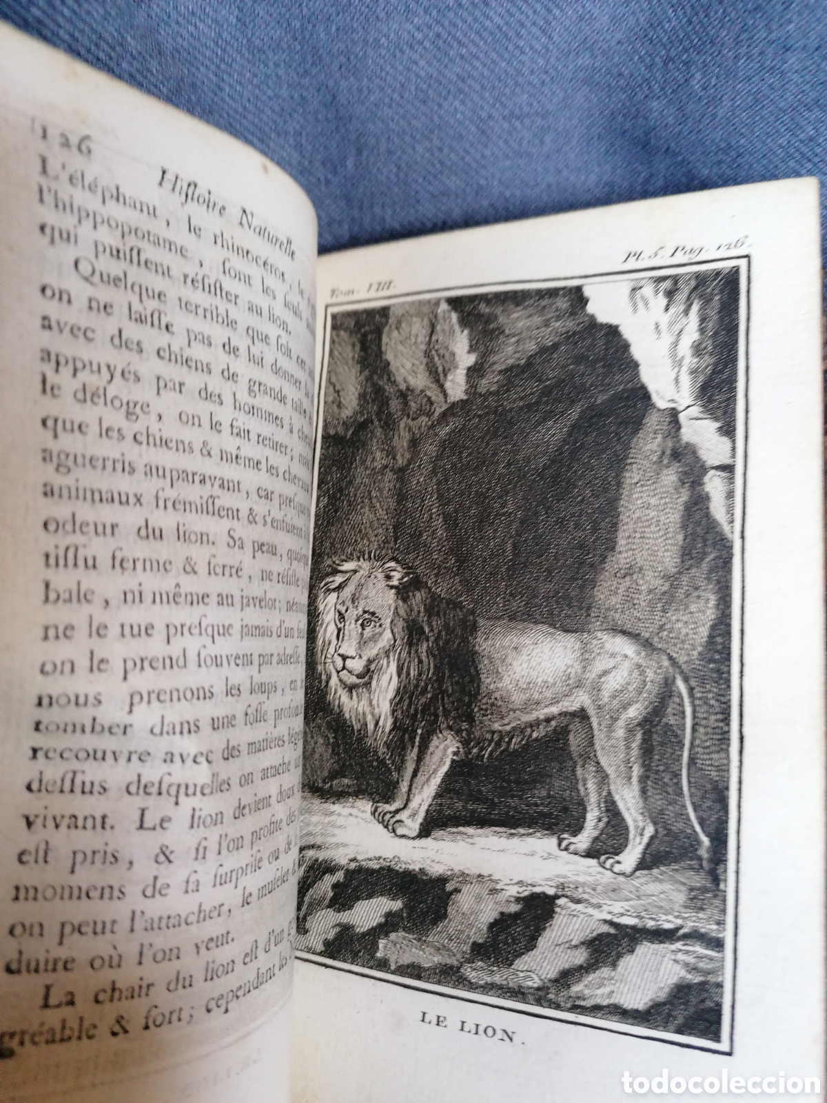 Libros antiguos: Histoire naturelle de Buffon 1769 - Foto 10