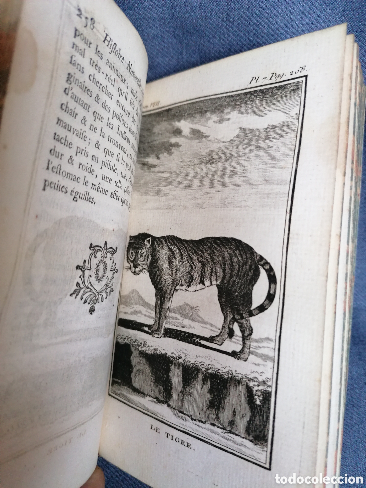 Libros antiguos: Histoire naturelle de Buffon 1769 - Foto 11