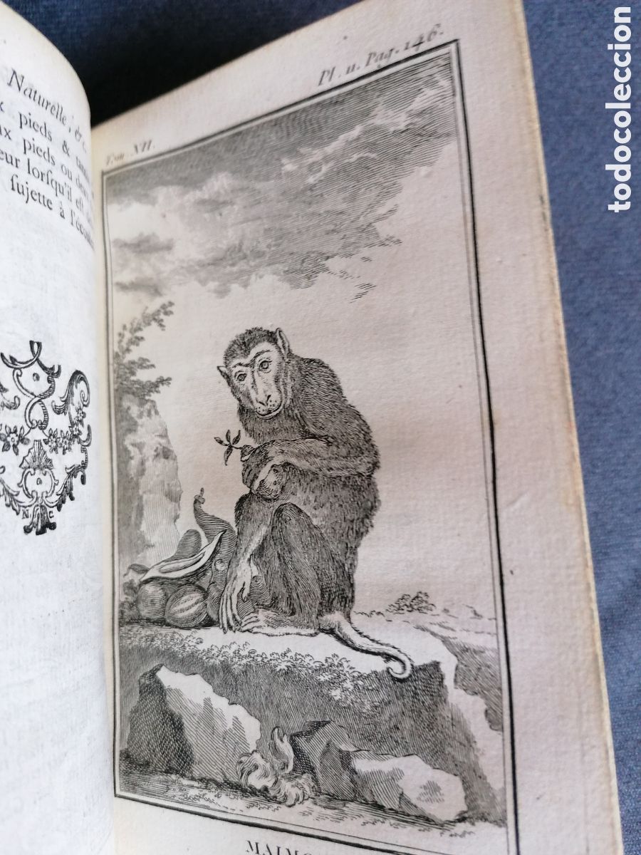 Libros antiguos: Histoire naturelle de Buffon 1770 - Foto 11