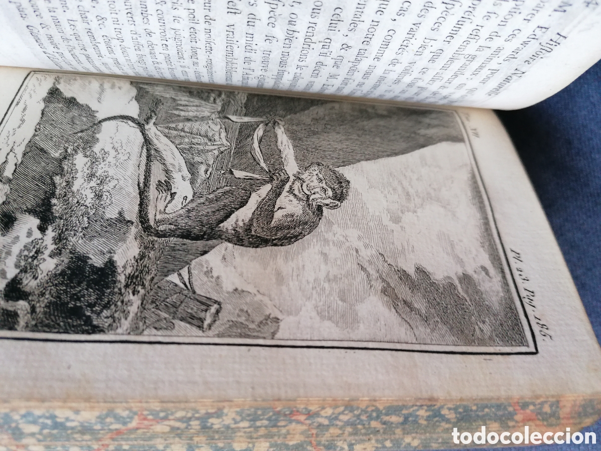 Libros antiguos: Histoire naturelle de Buffon 1770 - Foto 19