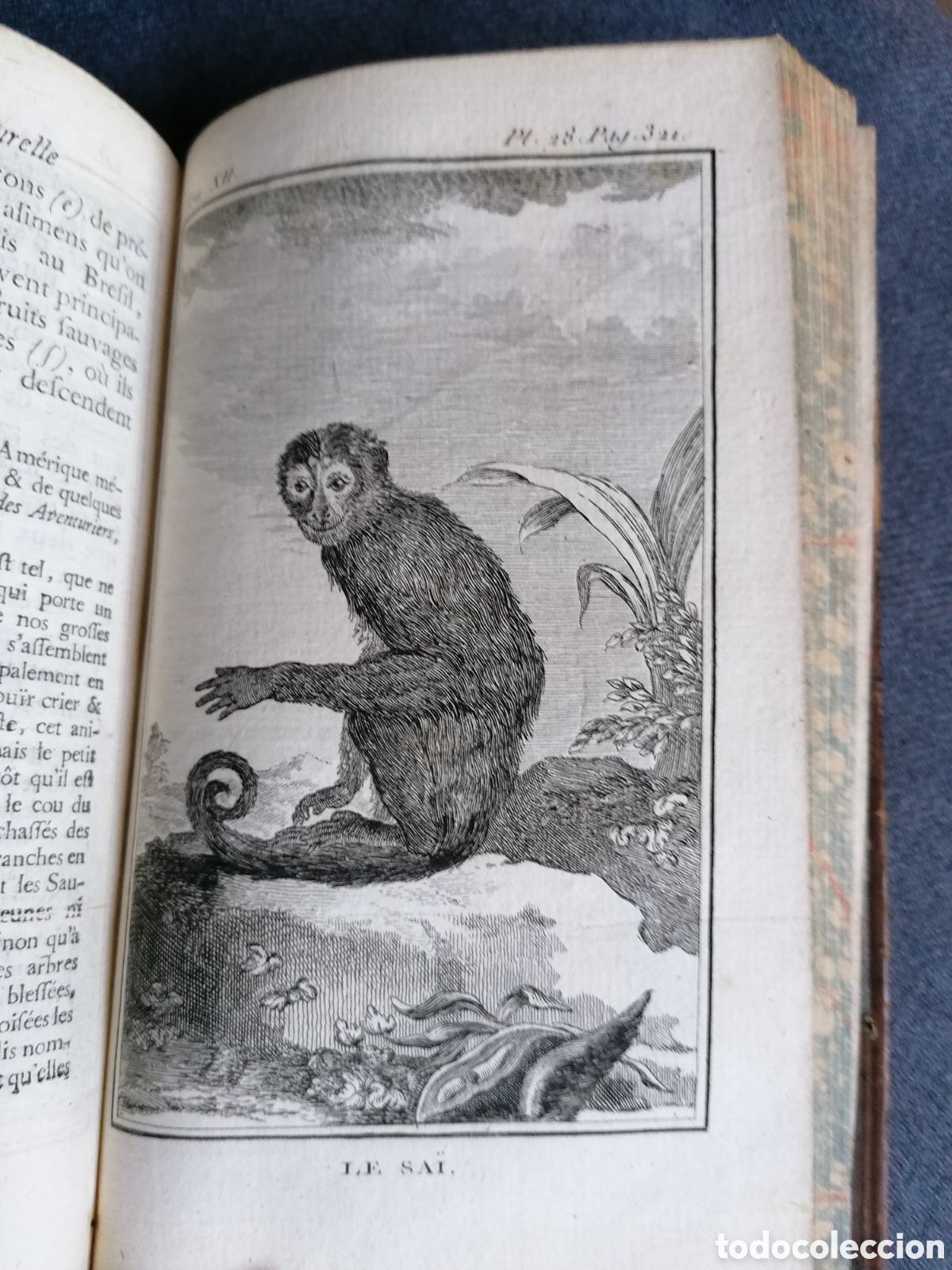 Libros antiguos: Histoire naturelle de Buffon 1770 - Foto 23