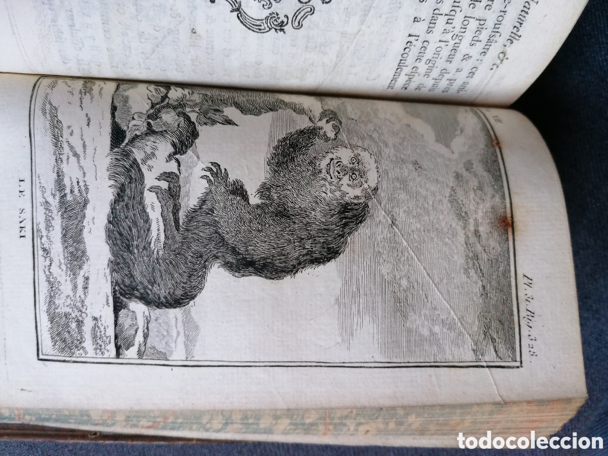 Libros antiguos: Histoire naturelle de Buffon 1770 - Foto 25