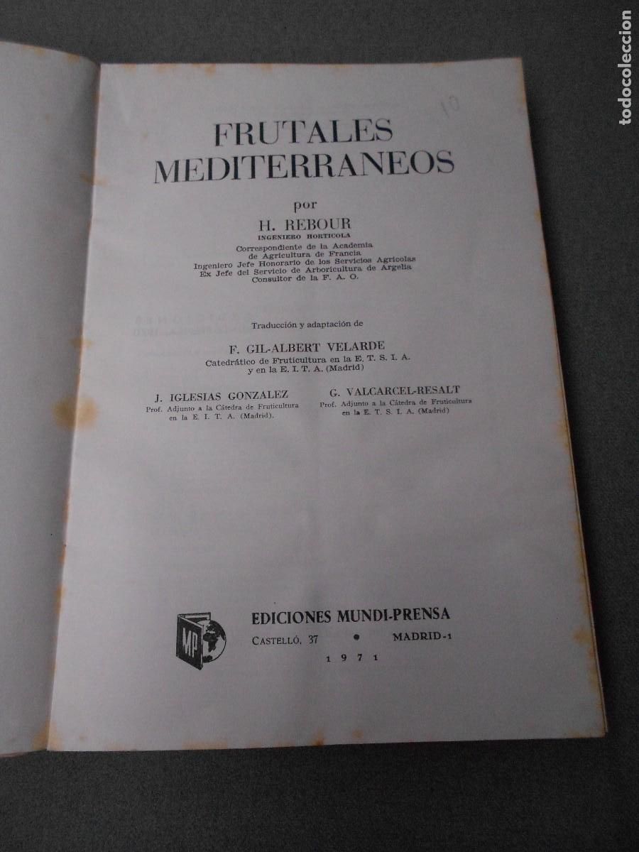 Libros antiguos: FRUTALES MEDITERRANEOS - Foto 2