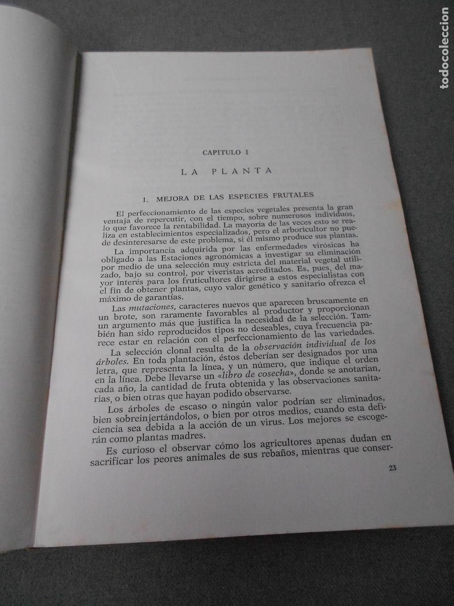 Libros antiguos: FRUTALES MEDITERRANEOS - Foto 3