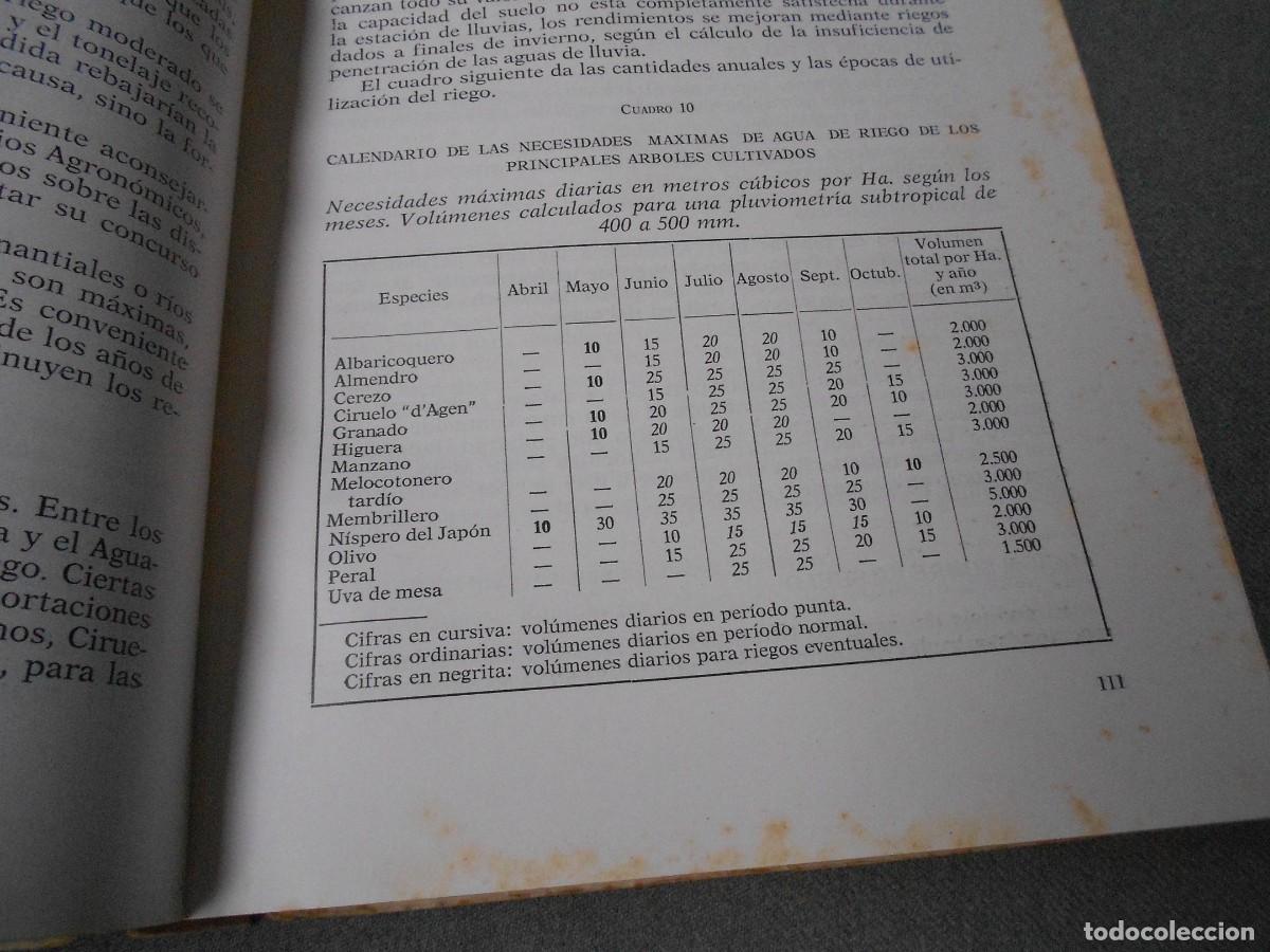 Libros antiguos: FRUTALES MEDITERRANEOS - Foto 4