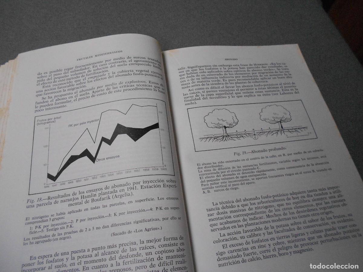 Libros antiguos: FRUTALES MEDITERRANEOS - Foto 5