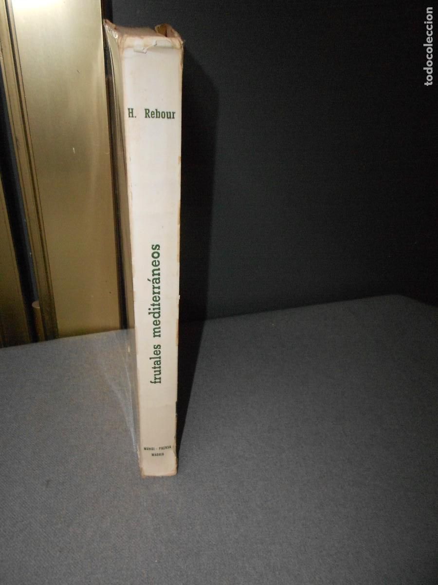 Libros antiguos: FRUTALES MEDITERRANEOS - Foto 9