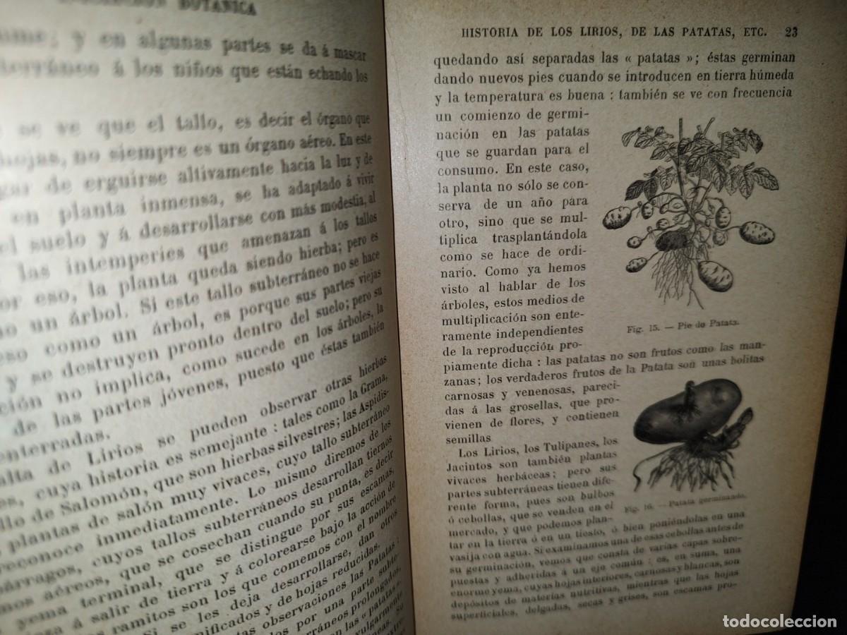 Libros antiguos: 43- INICIACI&Oacute;N BOT&Aacute;NICA - E. BRUCKER - 1912 - Foto 7