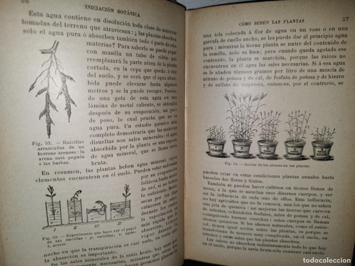 Libros antiguos: 43- INICIACI&Oacute;N BOT&Aacute;NICA - E. BRUCKER - 1912 - Foto 8