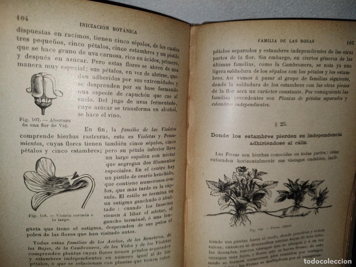 Libros antiguos: 43- INICIACI&Oacute;N BOT&Aacute;NICA - E. BRUCKER - 1912 - Foto 9