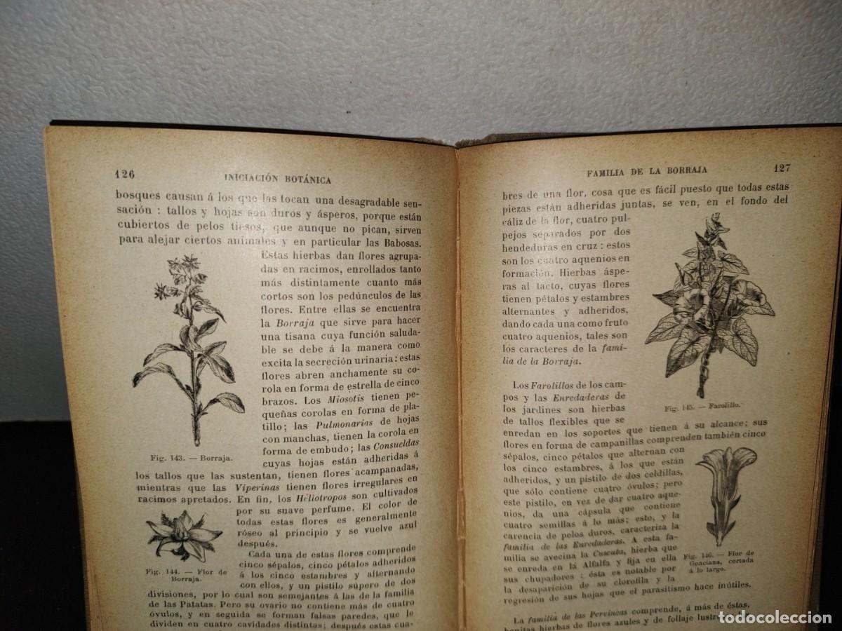 Libros antiguos: 43- INICIACI&Oacute;N BOT&Aacute;NICA - E. BRUCKER - 1912 - Foto 10