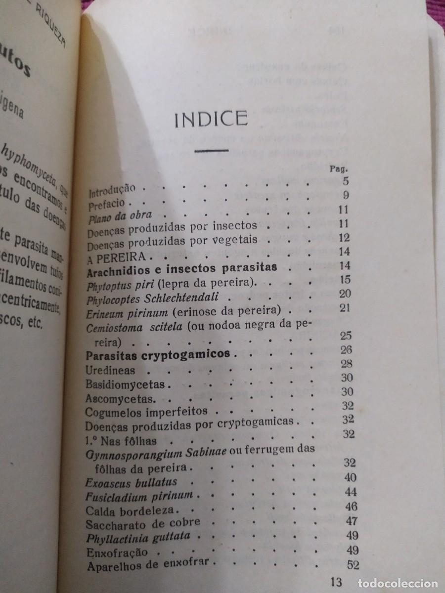 Libros antiguos: 1924. Doen&ccedil;as das arvores de fruto. Sirodot. - Foto 3
