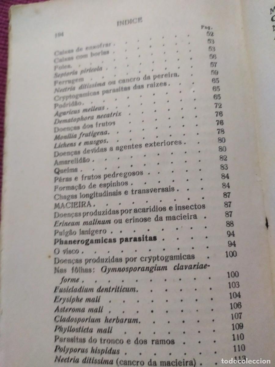 Libros antiguos: 1924. Doen&ccedil;as das arvores de fruto. Sirodot. - Foto 4