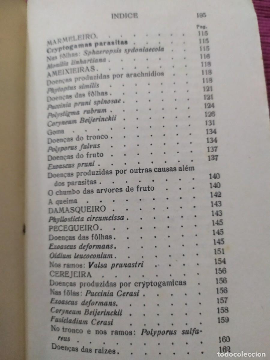 Libros antiguos: 1924. Doen&ccedil;as das arvores de fruto. Sirodot. - Foto 5