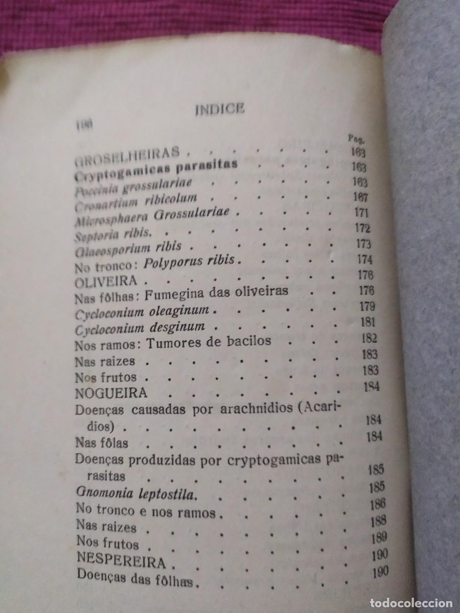 Libros antiguos: 1924. Doen&ccedil;as das arvores de fruto. Sirodot. - Foto 6