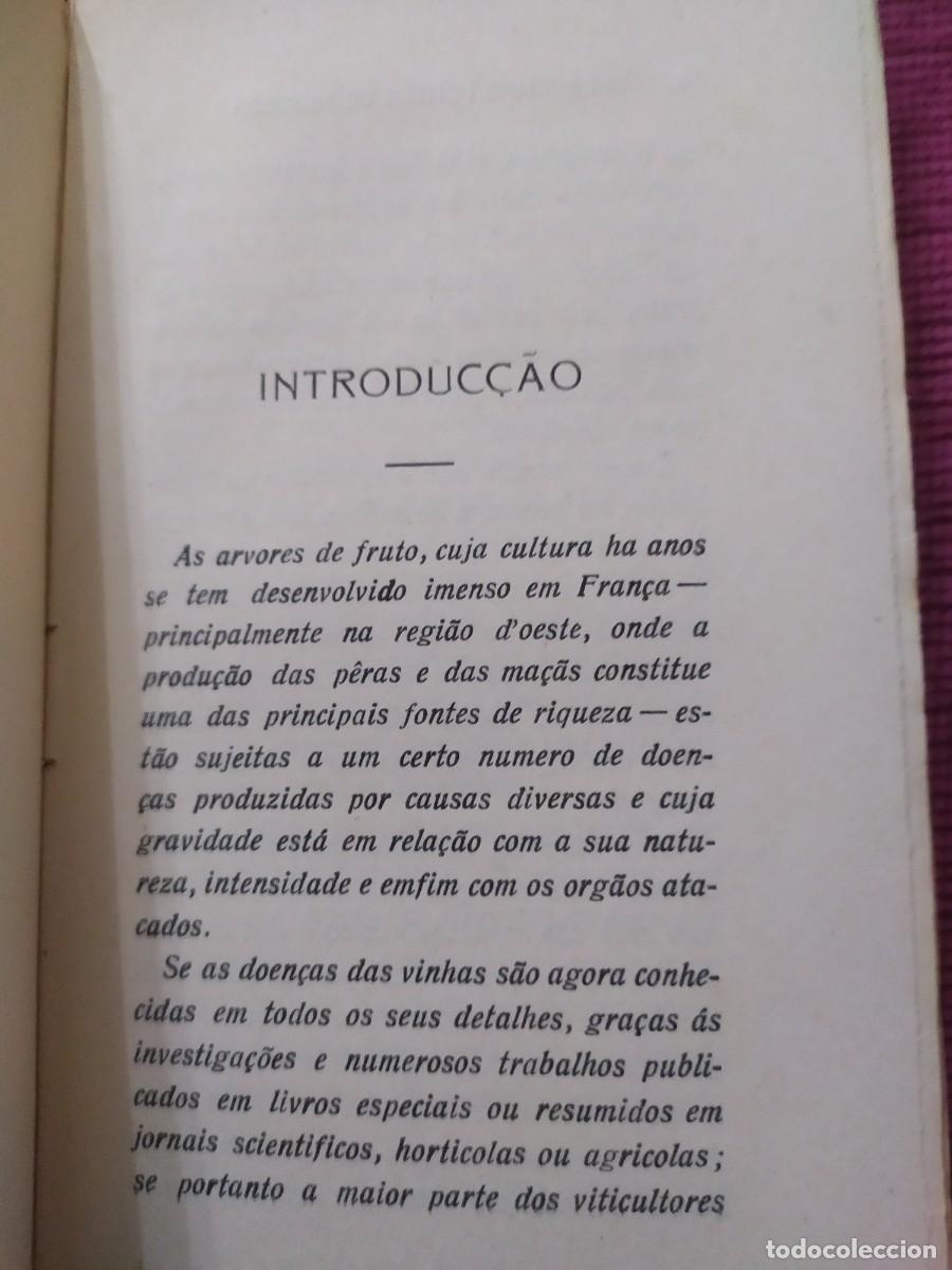 Libros antiguos: 1924. Doen&ccedil;as das arvores de fruto. Sirodot. - Foto 7