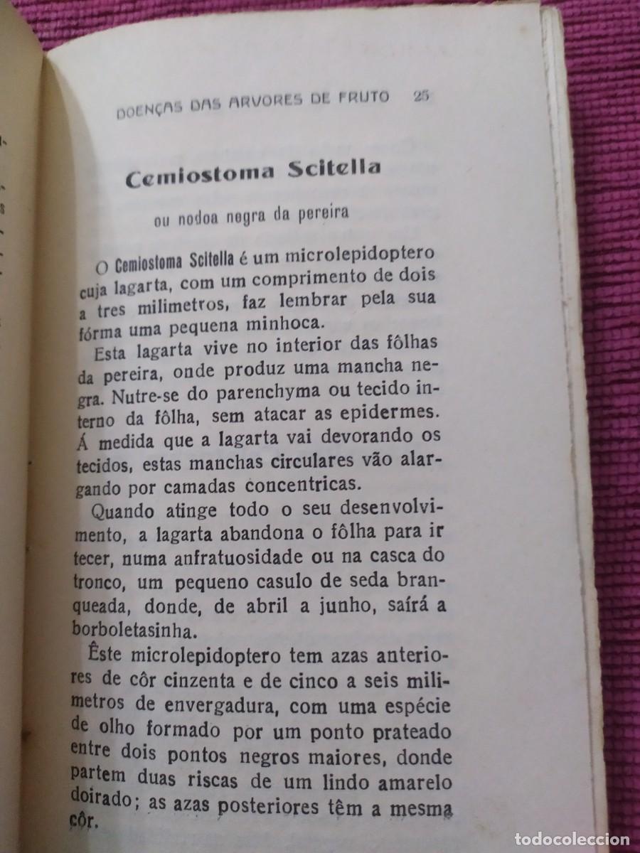Libros antiguos: 1924. Doen&ccedil;as das arvores de fruto. Sirodot. - Foto 8