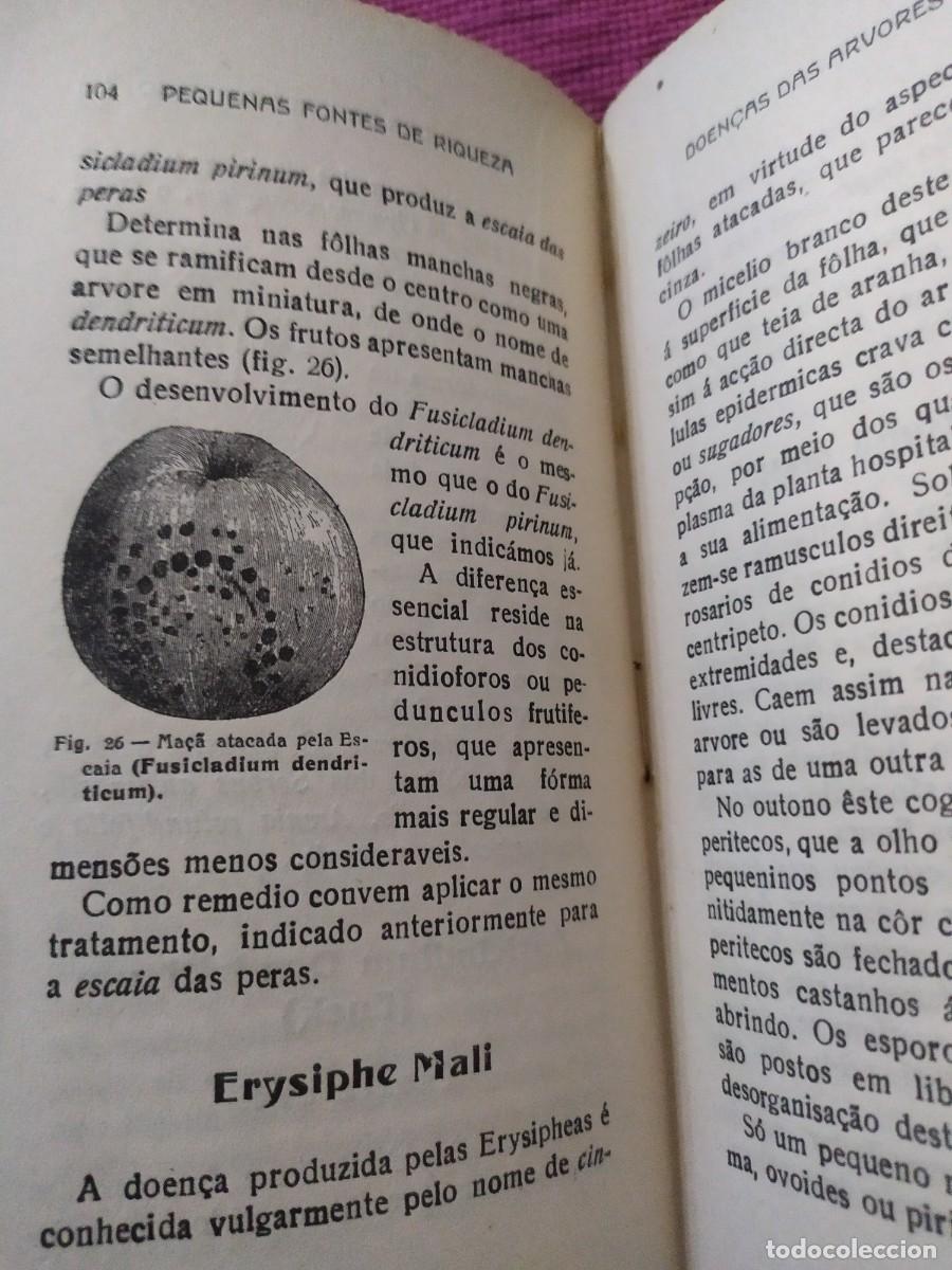 Libros antiguos: 1924. Doen&ccedil;as das arvores de fruto. Sirodot. - Foto 10