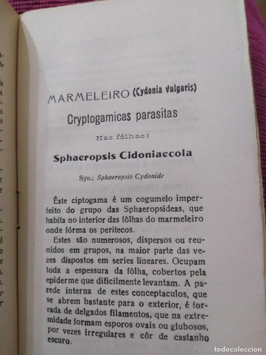 Libros antiguos: 1924. Doen&ccedil;as das arvores de fruto. Sirodot. - Foto 11