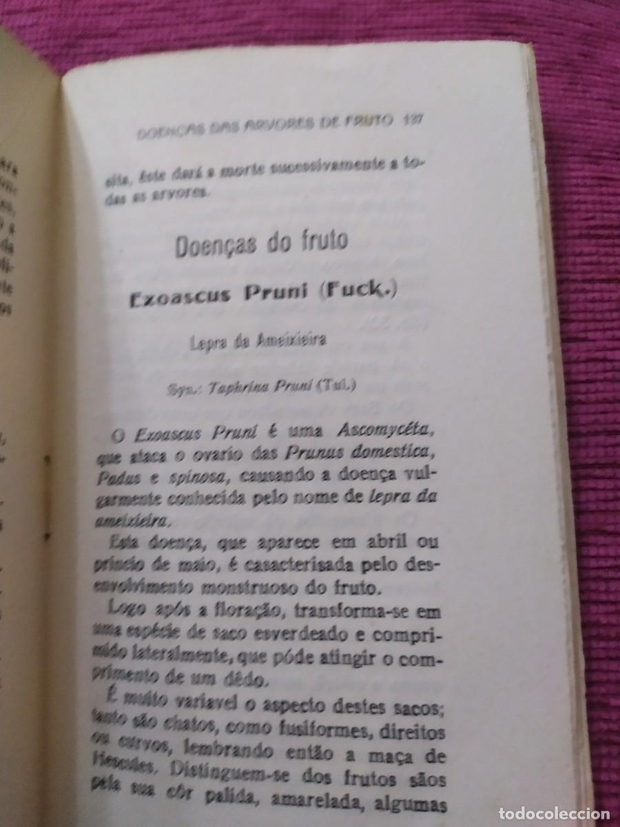 Libros antiguos: 1924. Doen&ccedil;as das arvores de fruto. Sirodot. - Foto 12