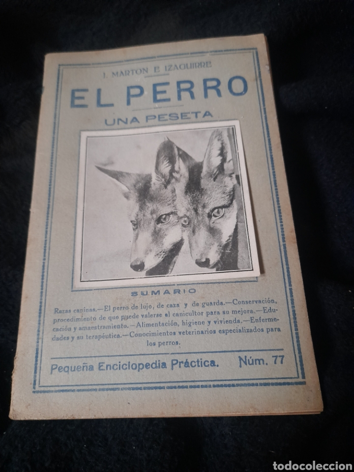Libros antiguos: EL PERRO, Peque&ntilde;a Enciclopedia Pr&aacute;ctica - Foto 1