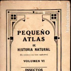 Libros antiguos: PEQUEÑO ATLAS DE HISTORIA NATURAL - INSECTOS (SALVATELLA, C. 1930)