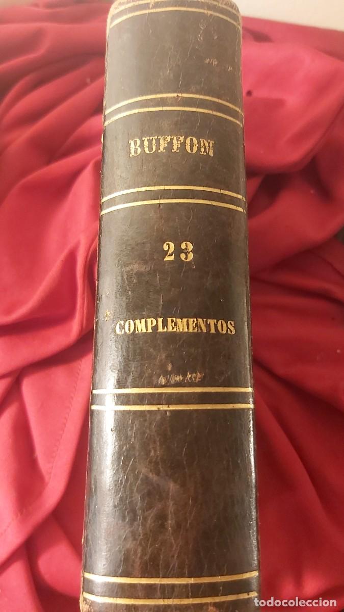 Libros antiguos: Buffon, tomo 23, complementos, de sus obras completas. - Foto 1