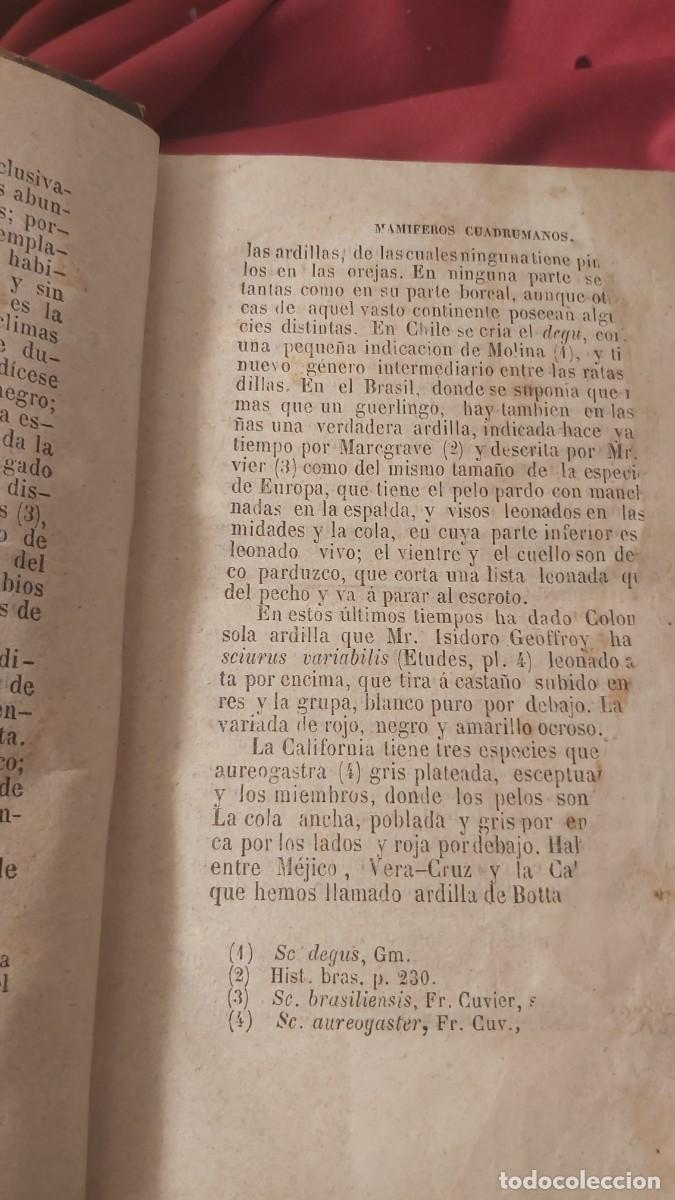 Libros antiguos: Buffon, tomo 23, complementos, de sus obras completas. - Foto 4