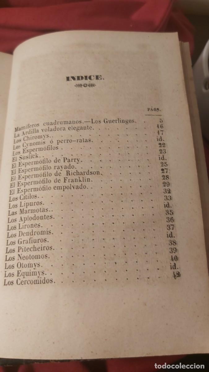 Libros antiguos: Buffon, tomo 23, complementos, de sus obras completas. - Foto 8