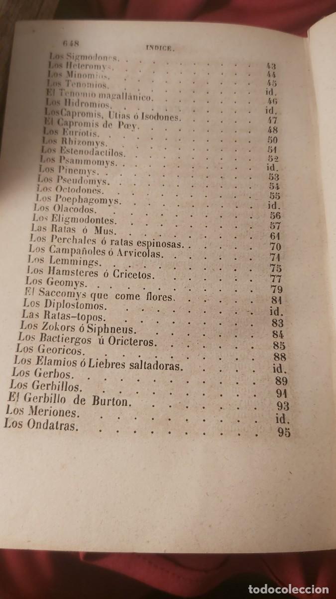 Libros antiguos: Buffon, tomo 23, complementos, de sus obras completas. - Foto 9