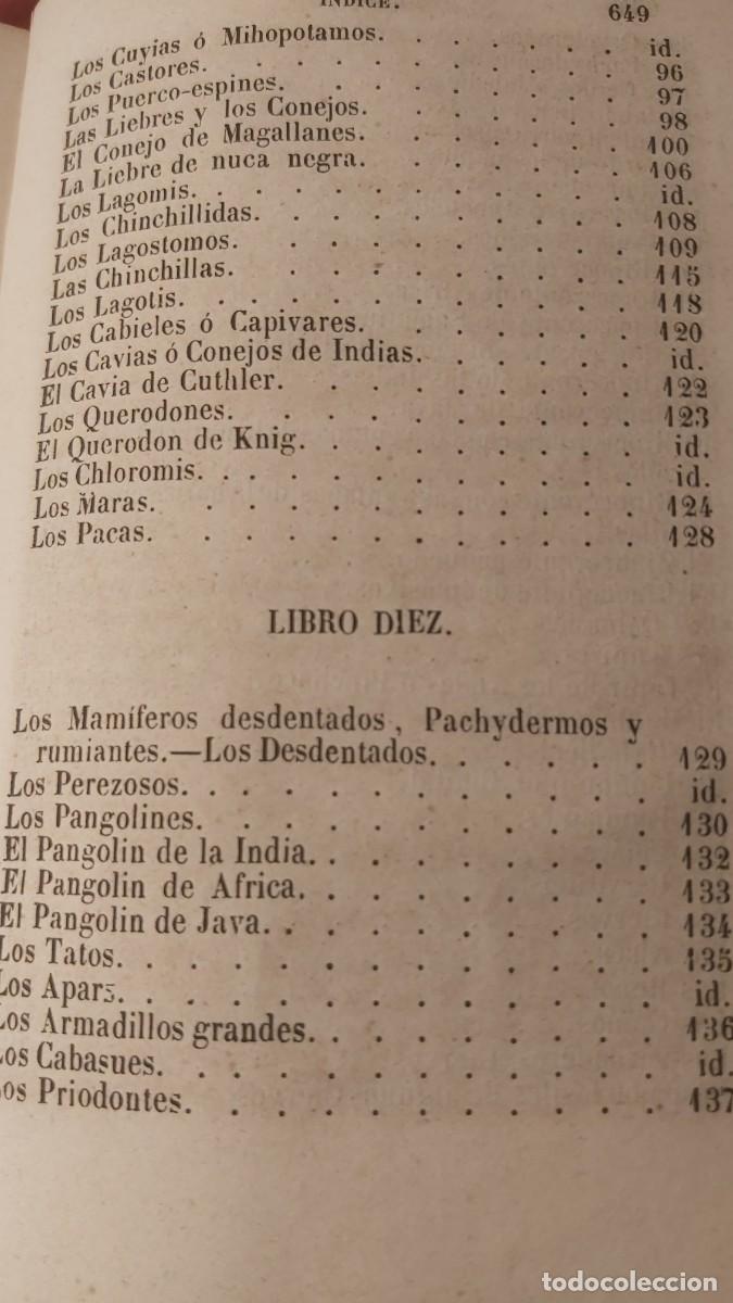 Libros antiguos: Buffon, tomo 23, complementos, de sus obras completas. - Foto 10