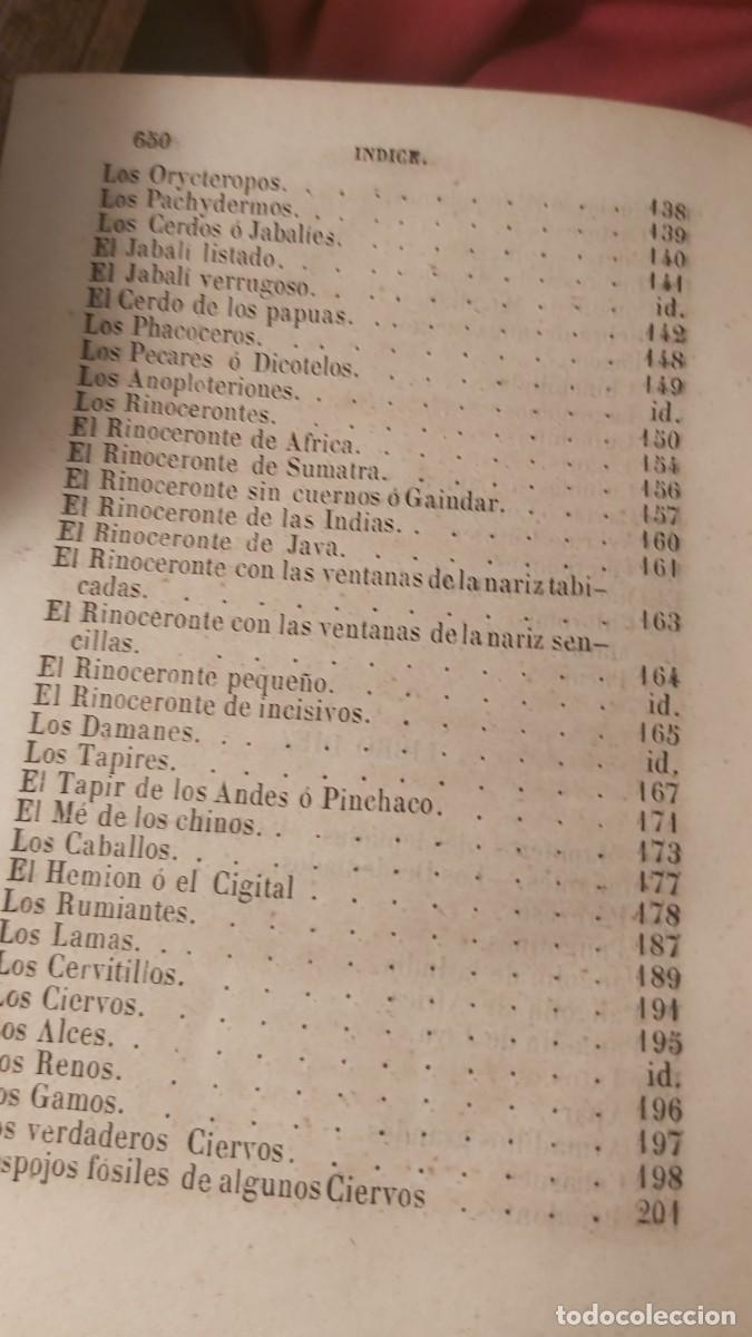Libros antiguos: Buffon, tomo 23, complementos, de sus obras completas. - Foto 11