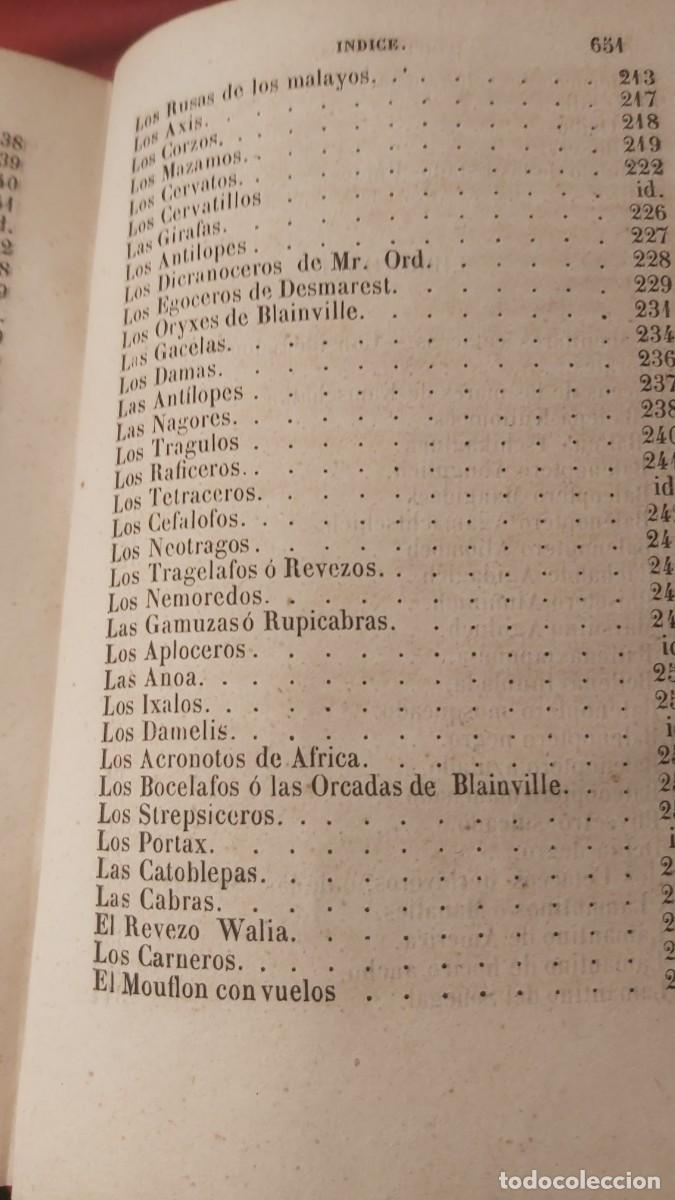 Libros antiguos: Buffon, tomo 23, complementos, de sus obras completas. - Foto 12