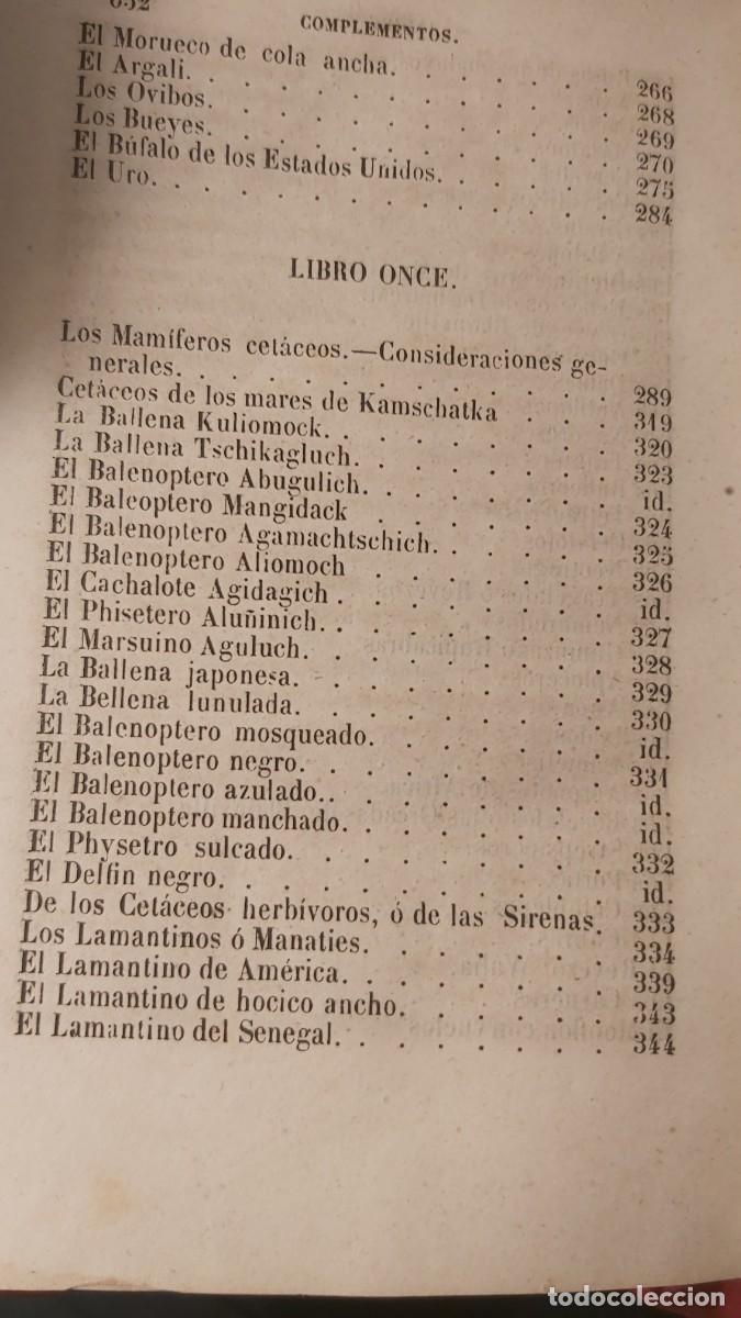 Libros antiguos: Buffon, tomo 23, complementos, de sus obras completas. - Foto 13