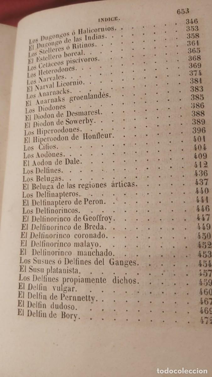 Libros antiguos: Buffon, tomo 23, complementos, de sus obras completas. - Foto 14