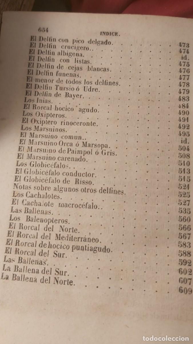 Libros antiguos: Buffon, tomo 23, complementos, de sus obras completas. - Foto 15