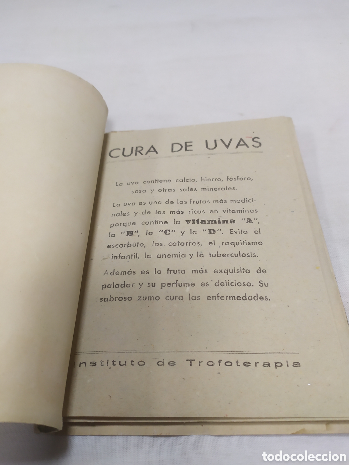 Libros antiguos: Cura de uvas. Profesor N. Cap&oacute; - Foto 3