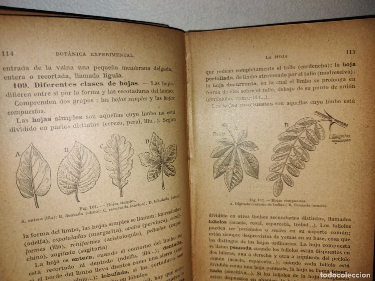 Libros antiguos: 59- BOT&Aacute;NICA EXPERIMENTAL G. M. BRU&Ntilde;O - 1922 - Foto 7