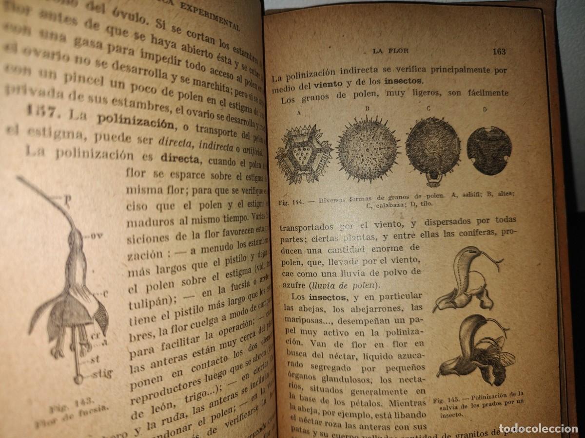 Libros antiguos: 59- BOT&Aacute;NICA EXPERIMENTAL G. M. BRU&Ntilde;O - 1922 - Foto 8
