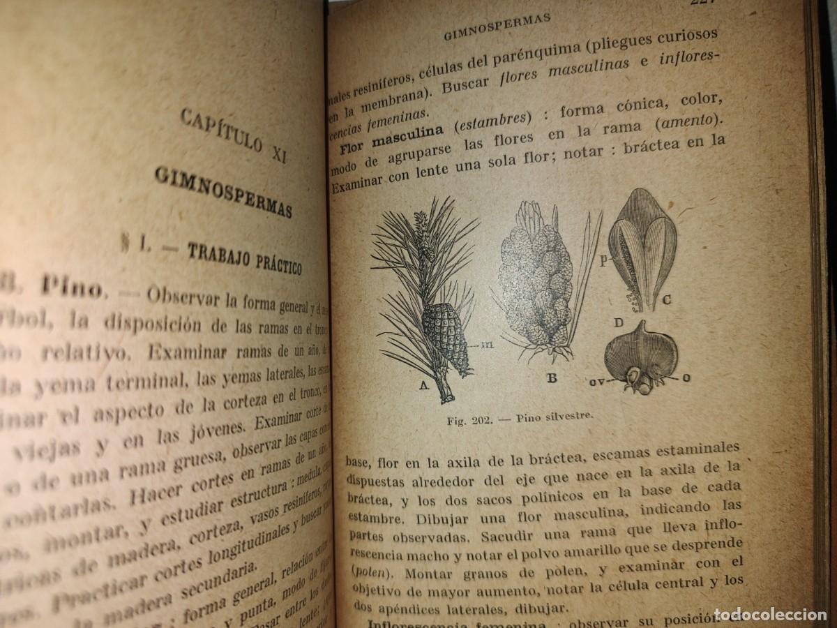 Libros antiguos: 59- BOT&Aacute;NICA EXPERIMENTAL G. M. BRU&Ntilde;O - 1922 - Foto 9
