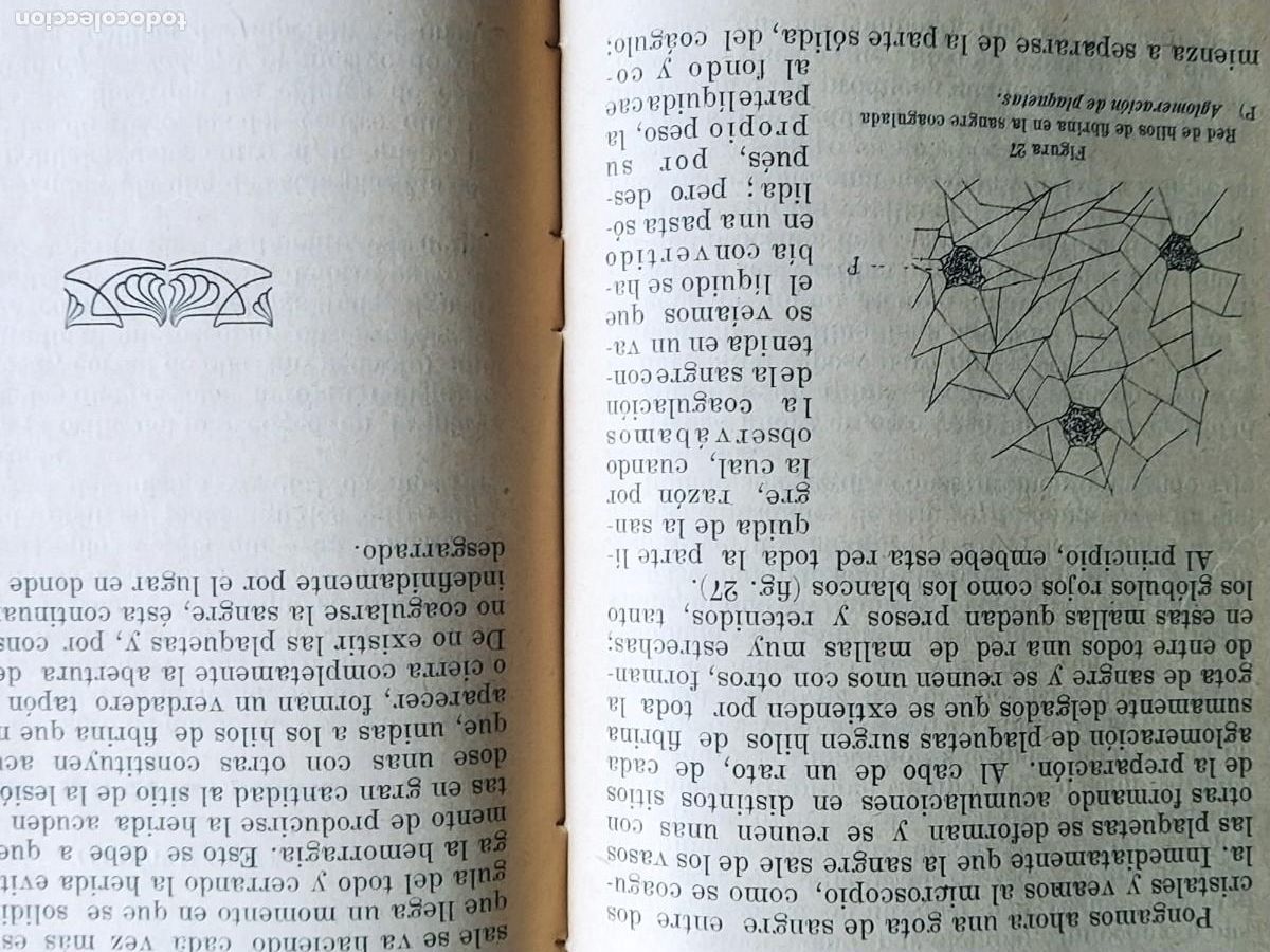 Libros antiguos: LECTURAS BIOLOGICAS, E. FERNANDEZ GALIANO, 1916 - Foto 2
